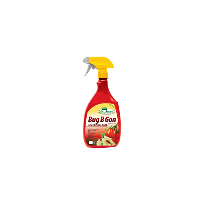 Insecticide Liquide «Bug-B-Gone»