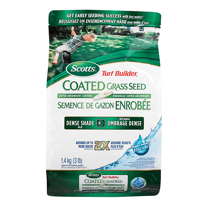 Coated grass seed
