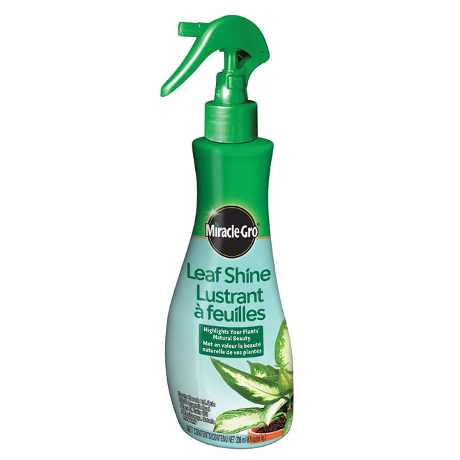 Leaf Shine Spray - 236 ml