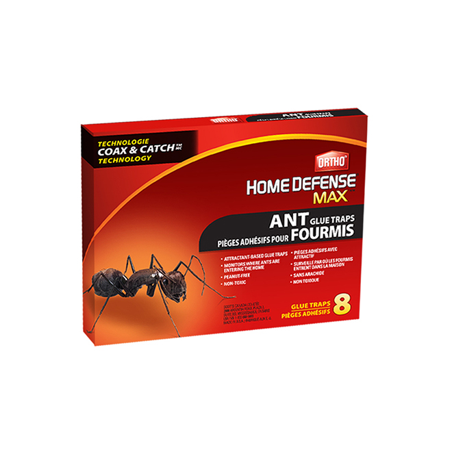 Piège à fourmis adhésifs - Paquet de 8