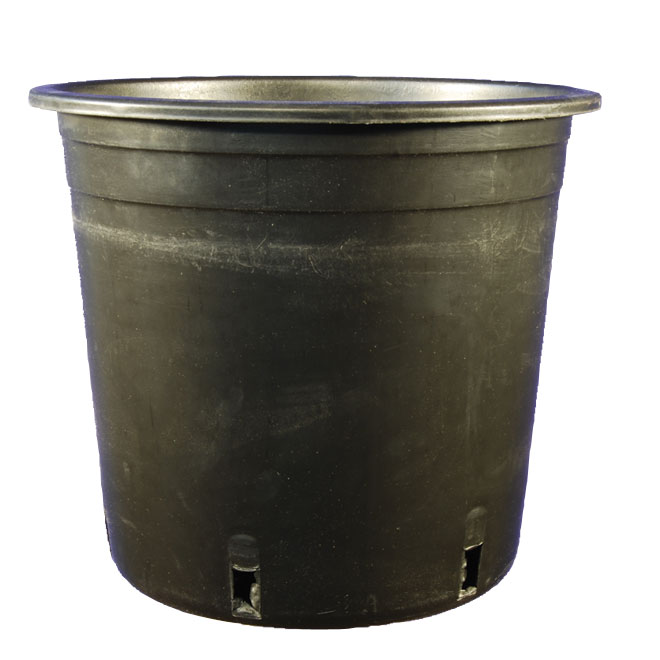 Pot pour production 24 cm