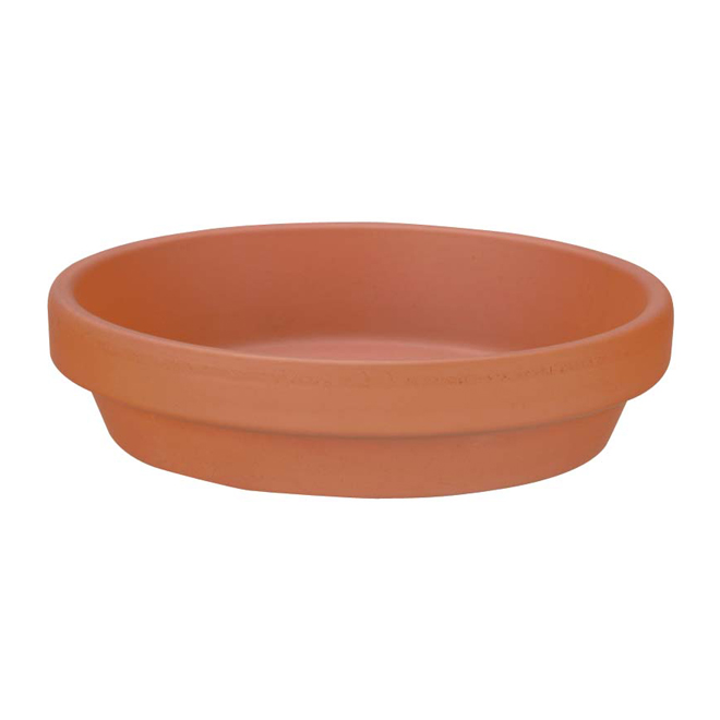 Saucer