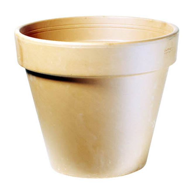 Pot