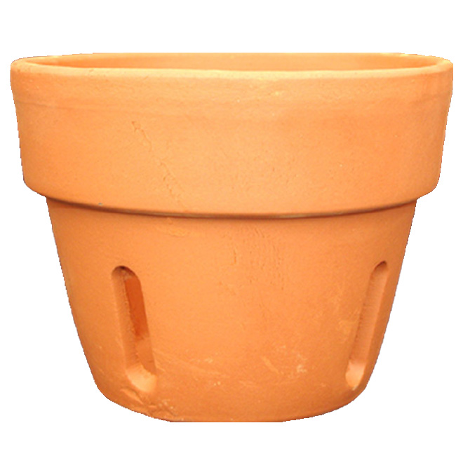 Orchid pot