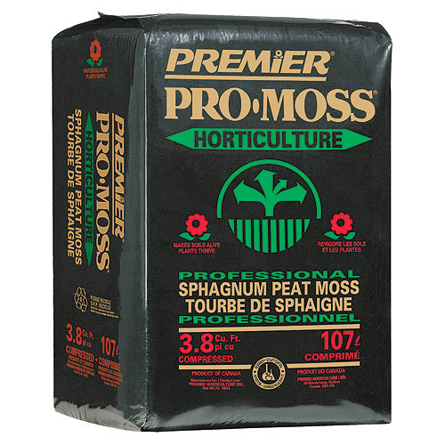 Moss - Peat Moss