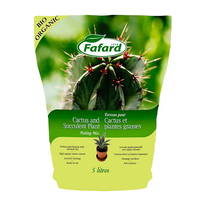 Cactus And Succulent Plant Potting Mix
