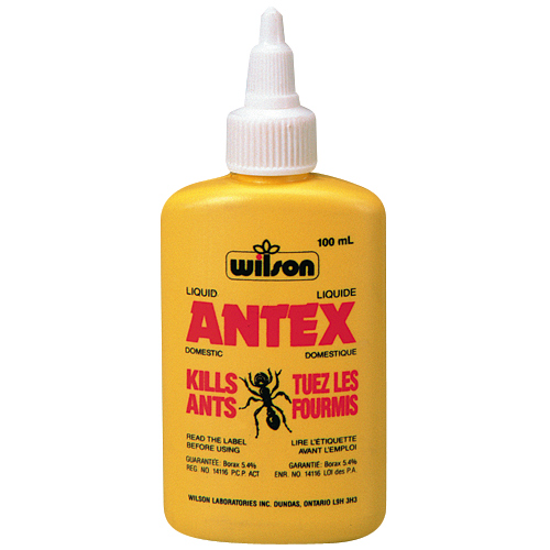 Ant insecticide