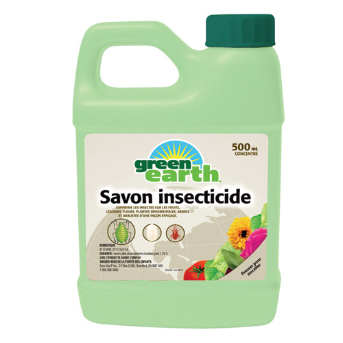 Savon insecticide