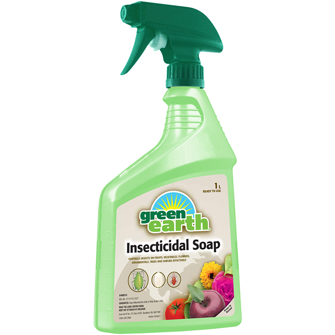 Savon insecticide