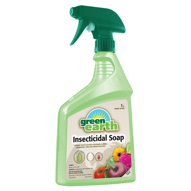 Insecticide soap