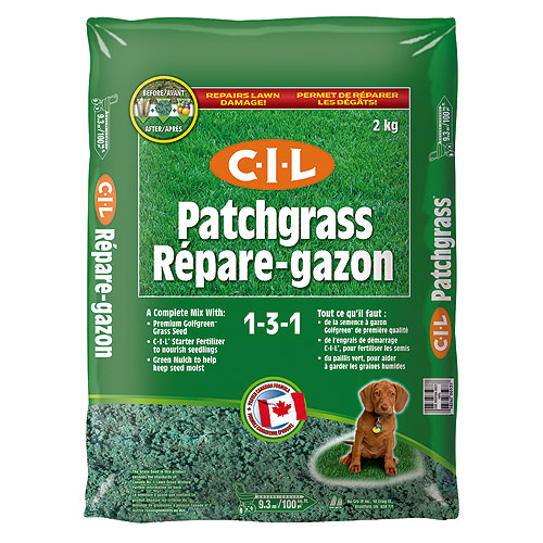 Grass Seed 1-3-1