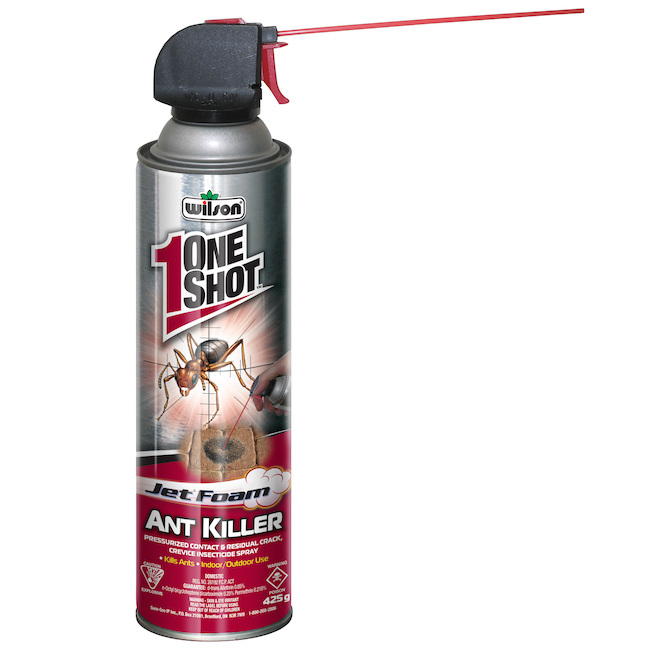 Insecticide à fourmis