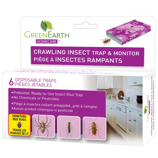 Piège à insectes rampants, paquet de 6