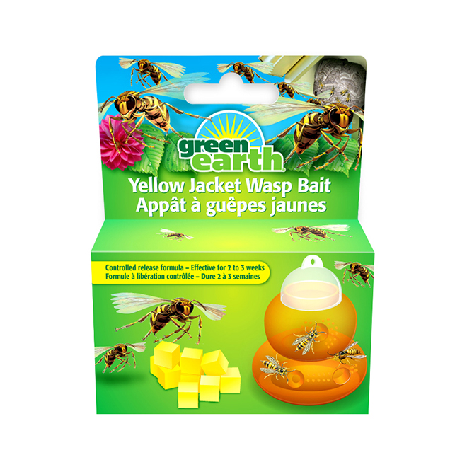 Appât à guêpes jaunes