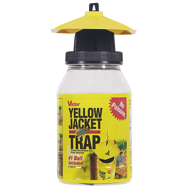 Wap and Flying Insect Trap