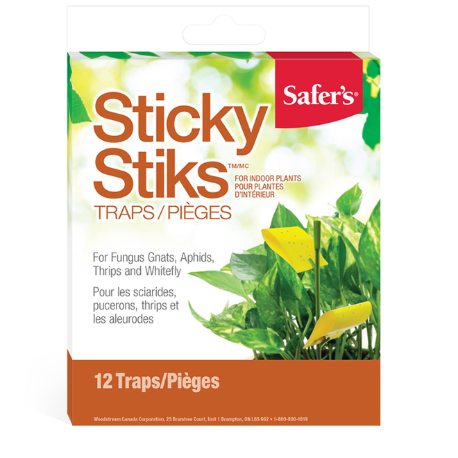 Trap - Disposable Sticky Trap
