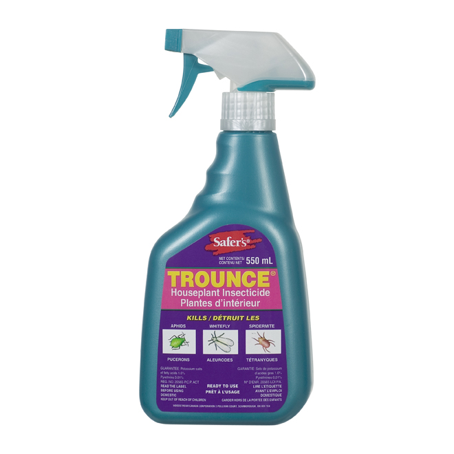 Insecticide pour plantes d'intérieur