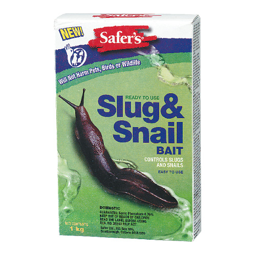 Slug Bait