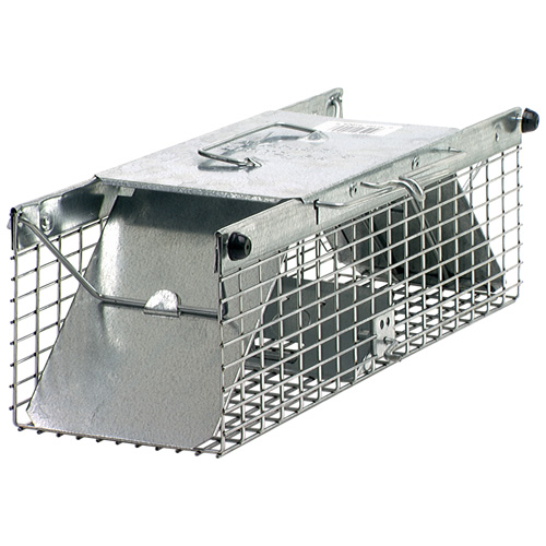 Squirrel Trap