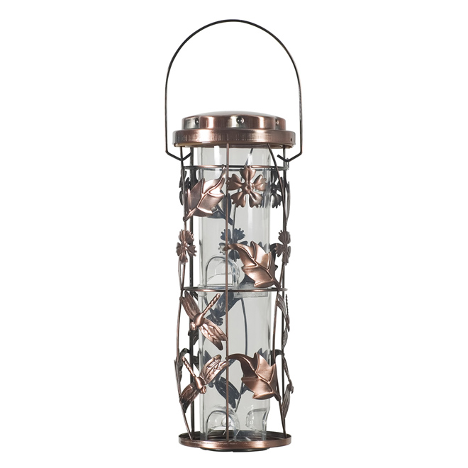 Birds Feeder