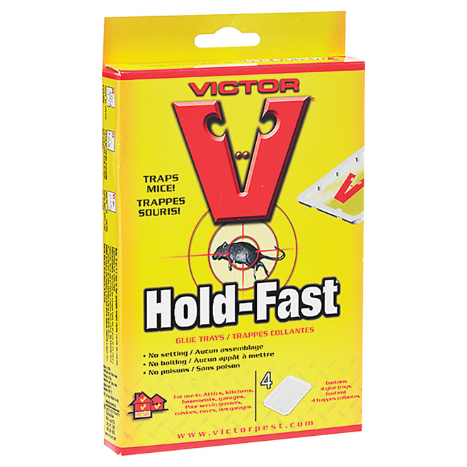 "Hold Fast" Mouse glue tray - Pack of 4