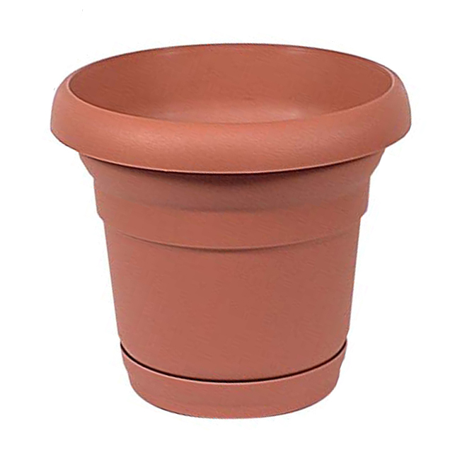 "Distinction" Pot and Saucer - Terracotta