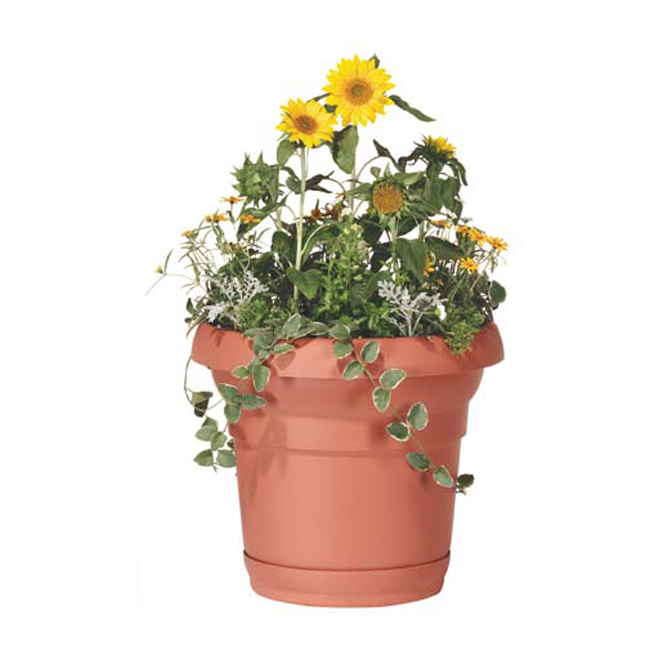 Pot et soucoupe «Distinction» Terracotta