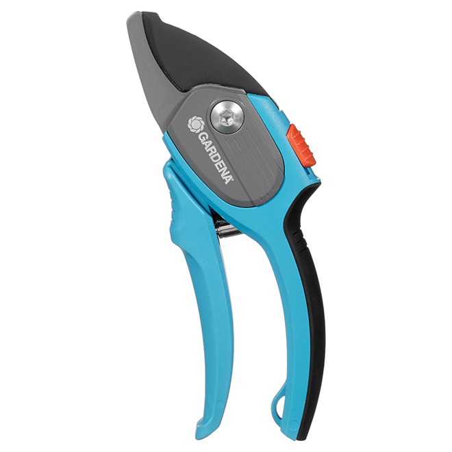 Pruner
