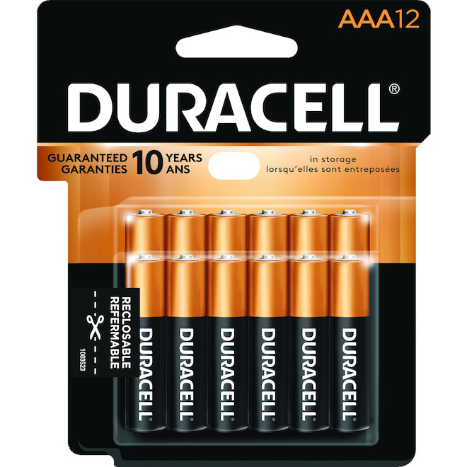 Piles alcalines « AA » CopperTop, pqt/12
