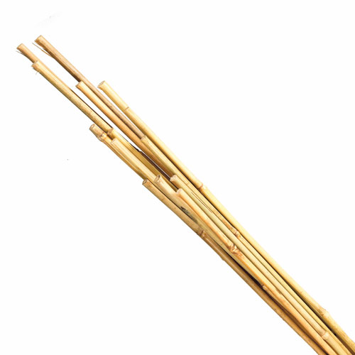 Stakes - Bamboo Stakes