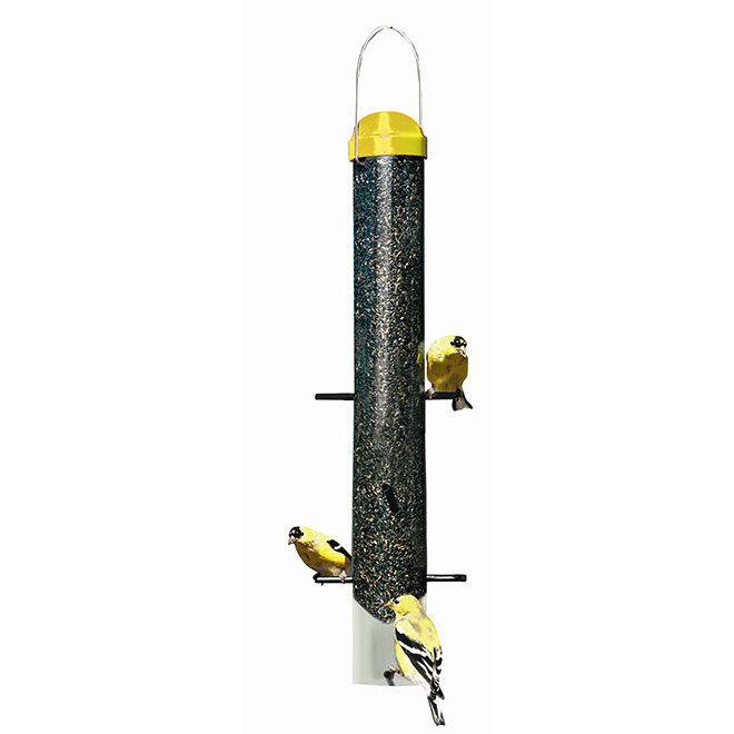 Birds Feeder