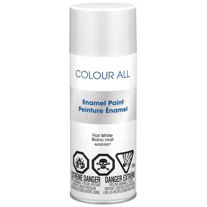 Enamel Spray Paint - Flat White