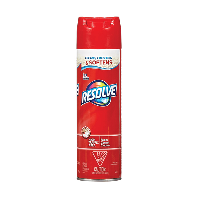 Carpet Stain Remover Foam 623 mL