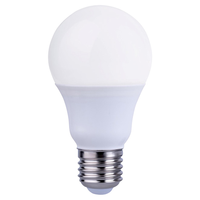 Ampoule DEL A19, 9,5 W, paquet de 2