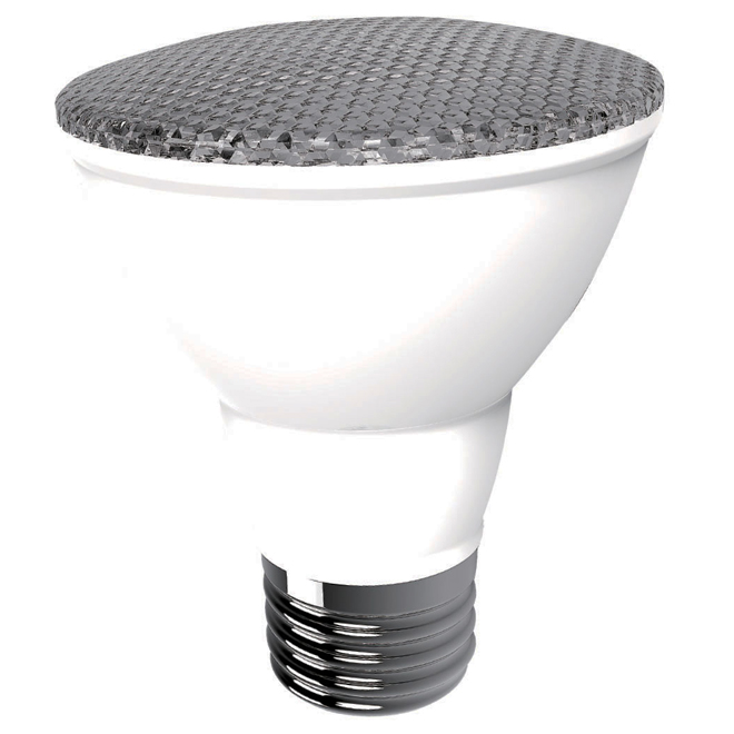 Ampoule DEL PAR20 6,5W, intensité variable, blanc b., 6/pqt