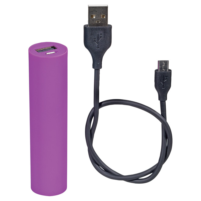Portable Charger
