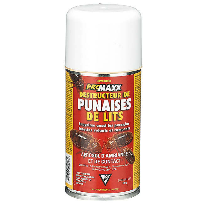 Destructeur de punaises de lit en aérosol 100 g