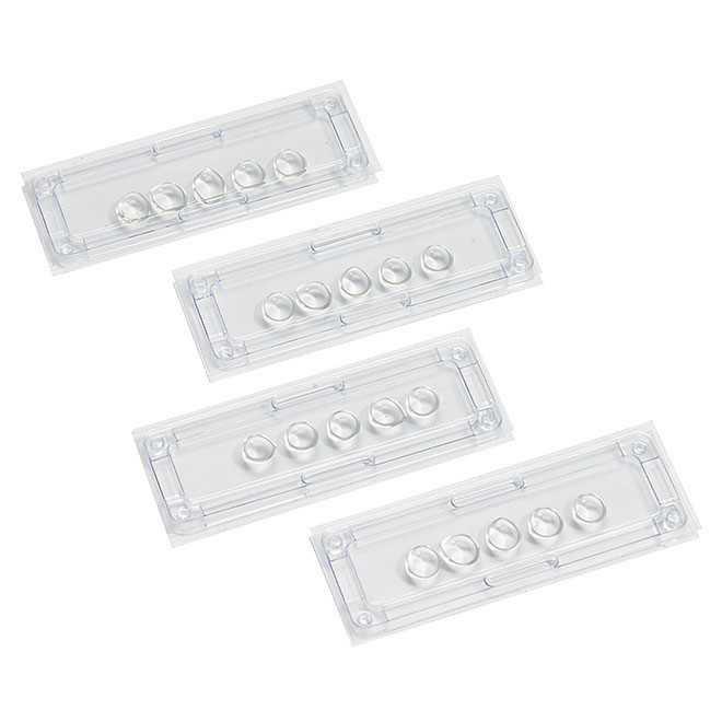 Piège collant pour punaises de lit - Paquet de 4