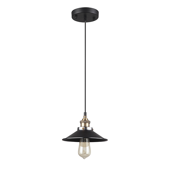 Luminaire suspendu à 1 lumière « Ezra »