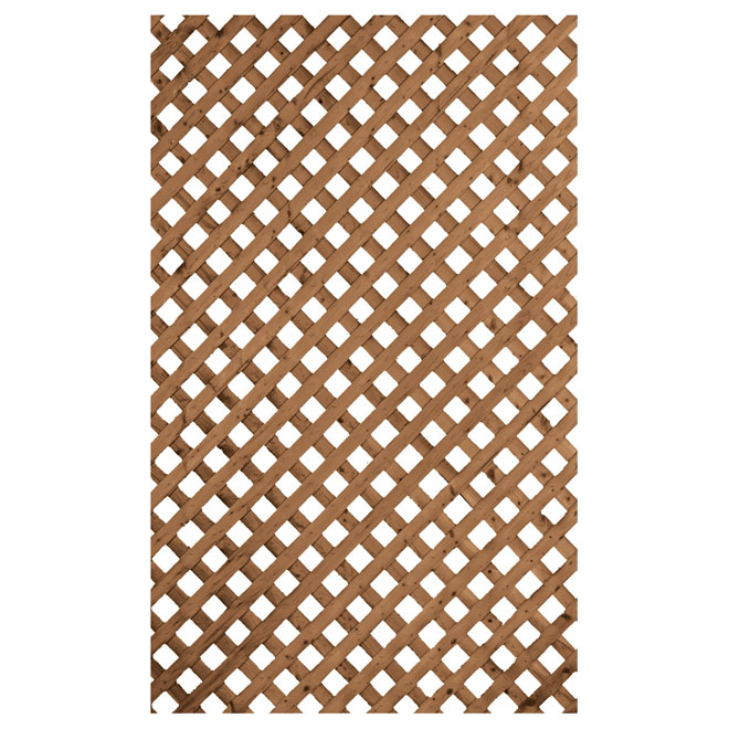 Treillis intimité en bois traité, brun, 2' x 8'