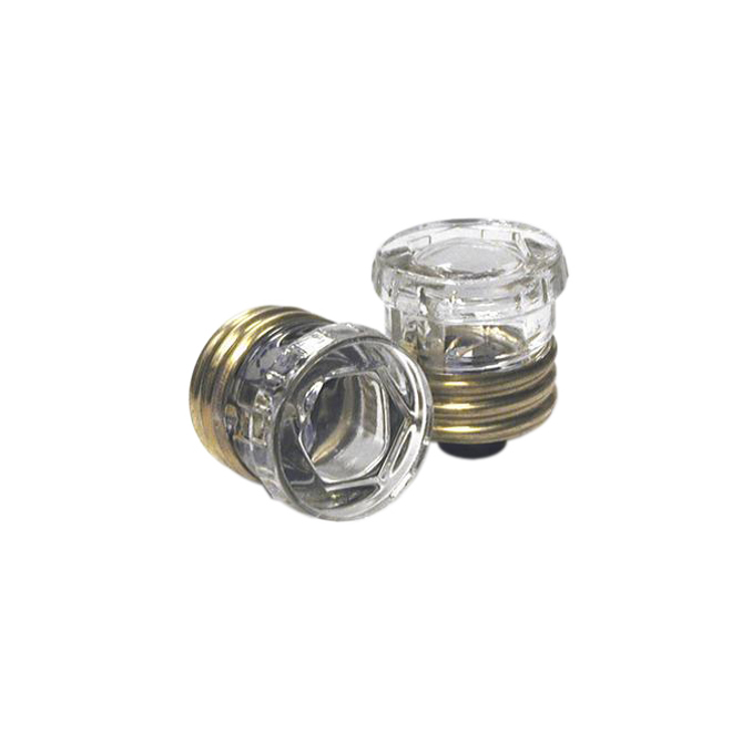 Pack of 2 25 A Time-Delay Fuse