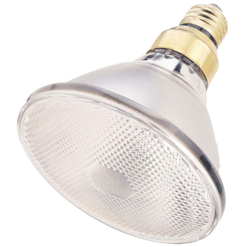 Halogen Floodlight