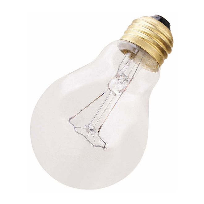 A19-Type Household Lightbulb