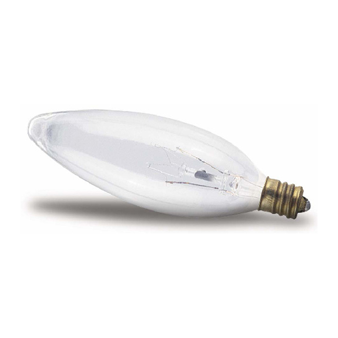 B10 Incandescent Lightbulb