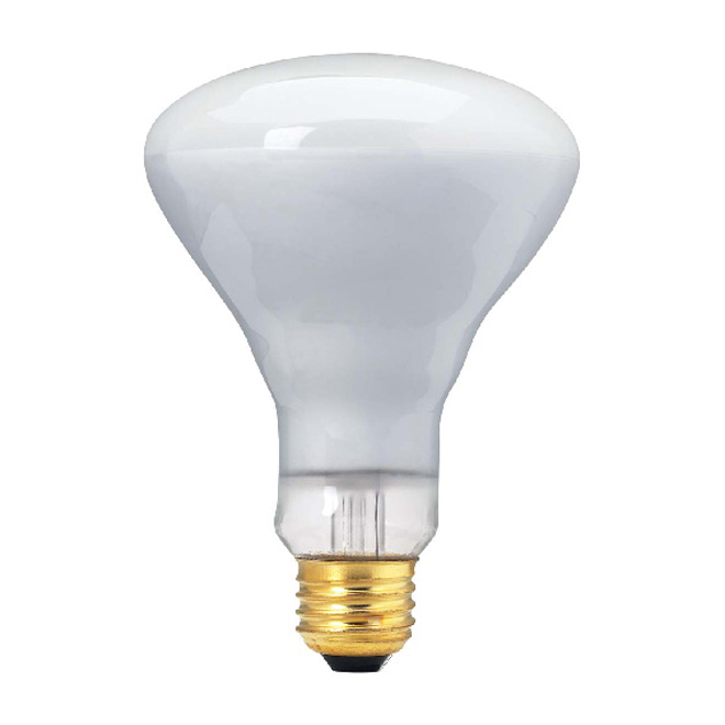 Lightbulb - 65-W Incandescent Lightbulb