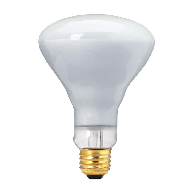 65- W Incandescent Lightbulb