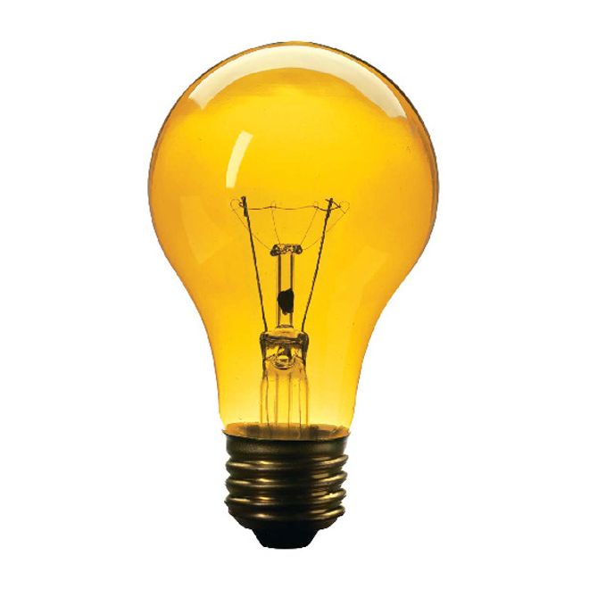 Ampoule domestique 60 W
