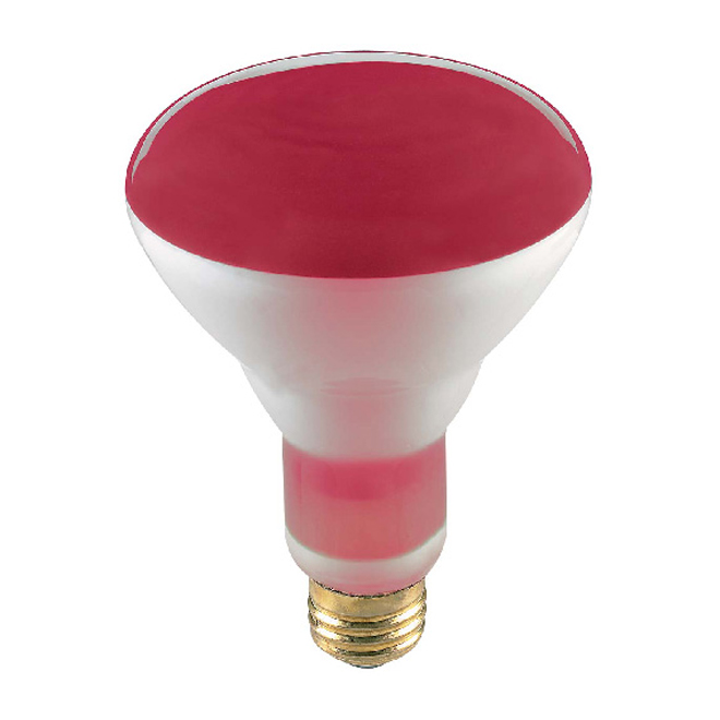 Réflecteur incandescent BR30