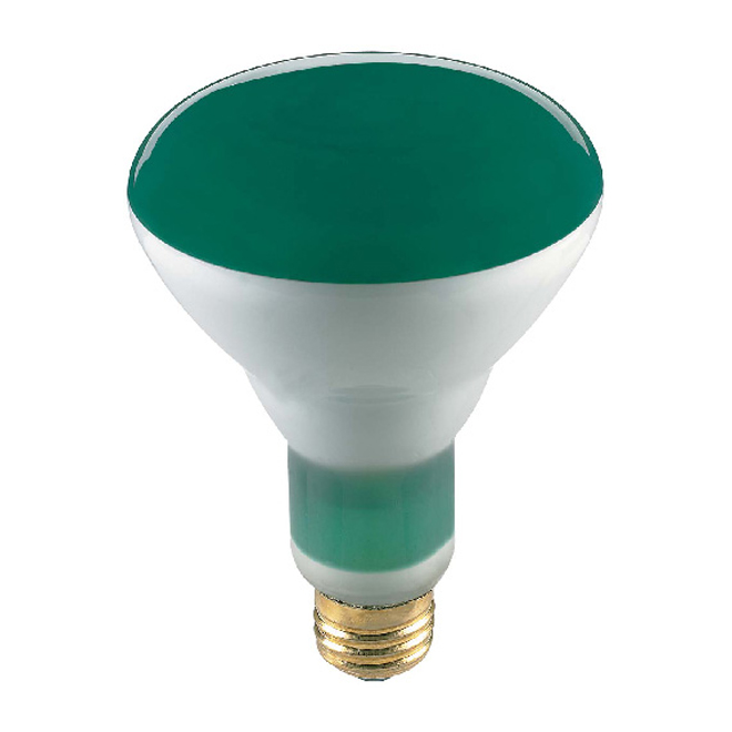 BR30 Incandescent Reflector
