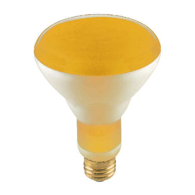 Réflecteur incandescent BR30